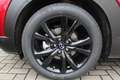 Mazda CX-30 M-Hybrid Homura G-140 Allwetter NAVI ACAA SHZ HUD Rot - thumbnail 8