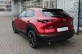 Mazda CX-30 M-Hybrid Homura G-140 Allwetter NAVI ACAA SHZ HUD Rot - thumbnail 3