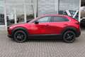 Mazda CX-30 M-Hybrid Homura G-140 Allwetter NAVI ACAA SHZ HUD Rot - thumbnail 2