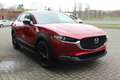 Mazda CX-30 M-Hybrid Homura G-140 Allwetter NAVI ACAA SHZ HUD Rot - thumbnail 6
