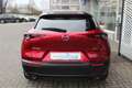 Mazda CX-30 M-Hybrid Homura G-140 Allwetter NAVI ACAA SHZ HUD Rot - thumbnail 4