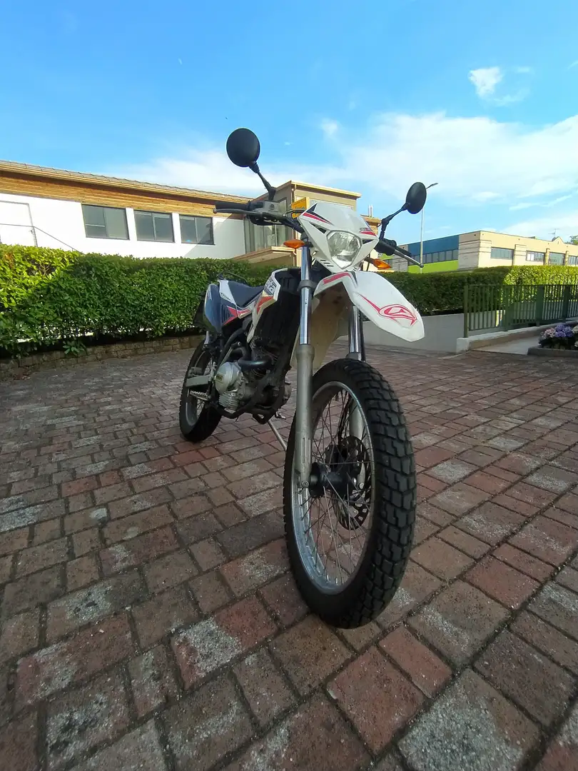 Beta RR 125 4T RE 125cc Blanc - 2