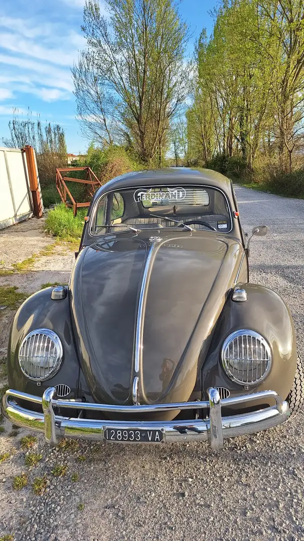 Volkswagen Maggiolino "La cornuta" Gri - 1