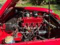 MG MGB 07/1965 Rouge - thumbnail 5