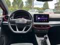 SEAT Ibiza FR Pro Black Edition Rot - thumbnail 11