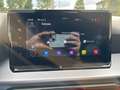 SEAT Ibiza FR Pro Black Edition Rot - thumbnail 18