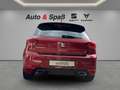 SEAT Ibiza FR Pro Black Edition Rot - thumbnail 6