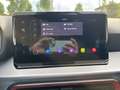 SEAT Ibiza FR Pro Black Edition Rot - thumbnail 16