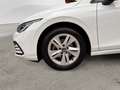 Volkswagen Golf 2.0 TDI DSG SCR Life Bianco - thumbnail 8
