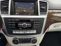 Mercedes-Benz ML 250 ML 250 BlueTEC 4MATIC Aut. DPF - thumbnail 8