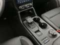 Ford Ranger Ranger Doppelkabine Wildtrak X e-4WD 2,0 EcoBlu... Silber - thumbnail 22