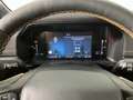 Ford Ranger Ranger Doppelkabine Wildtrak X e-4WD 2,0 EcoBlu... Silber - thumbnail 20