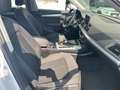 Audi Q5 2.0 TDI 190CV Business quattro s-tronic*EURO6B*NAV - thumbnail 10