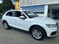 Audi Q5 2.0 TDI 190CV Business quattro s-tronic*EURO6B*NAV - thumbnail 3