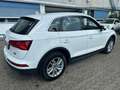 Audi Q5 2.0 TDI 190CV Business quattro s-tronic*EURO6B*NAV - thumbnail 4