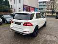 Mercedes-Benz ML 350 BlueTec*AMG*Aut*Klim*EGSD*Leder*EU 6 Weiß - thumbnail 6