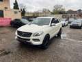 Mercedes-Benz ML 350 BlueTec*AMG*Aut*Klim*EGSD*Leder*EU 6 Weiß - thumbnail 3