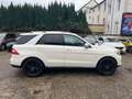 Mercedes-Benz ML 350 BlueTec*AMG*Aut*Klim*EGSD*Leder*EU 6 Weiß - thumbnail 7