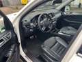 Mercedes-Benz ML 350 BlueTec*AMG*Aut*Klim*EGSD*Leder*EU 6 Weiß - thumbnail 11