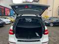 Mercedes-Benz ML 350 BlueTec*AMG*Aut*Klim*EGSD*Leder*EU 6 Weiß - thumbnail 16