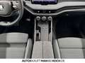 Skoda Superb Combi IV 2.0 TDI DSG 4x4 Navi LED ACC LM Grau - thumbnail 10