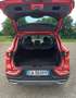 Renault Kadjar Kadjar 2019 1.5 blue dci Black Edition 115cv edc Rosso - thumbnail 4
