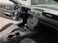 Ford Mustang MUSTANG 3.7 ROUSH DESIGN, GÄNSEHAUT GARANTIERT!" Grau - thumbnail 14