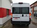 Fiat Ducato Maxi L2H2 *AHK+Kamera+Allwetter+Klimaautomatik Weiß - thumbnail 5
