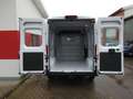 Fiat Ducato Maxi L2H2 *AHK+Kamera+Allwetter+Klimaautomatik Weiß - thumbnail 6