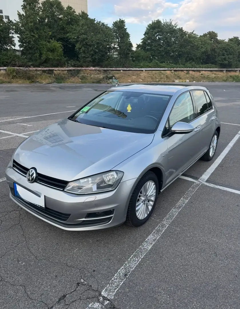 Volkswagen Golf Cup BMT Grau - 1