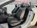 Ford Mustang GT-CS 5.0 GT Cabrio/H&R Fahrwerk+Spur/19 Weiß - thumbnail 26