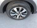 Renault Captur Autocarro dCi 8V 90 CV Business N1 4 Posti Gris - thumbnail 19