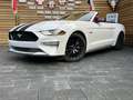 Ford Mustang GT Premium 5.0 Cabrio NAVI Memory Leder Blanco - thumbnail 4