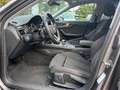 Audi A4 Avant 35 TDI Aut. Pano ACC Kamera AHK - thumbnail 11