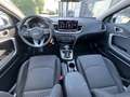 Kia Ceed / cee'd Sportswagon 1.5 T-GDI Spin 7DCT|PDC|KLIMA|SHZ Weiß - thumbnail 14