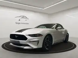 Ford Mustang Convertible Shz/Cam/Tmp/Carplay