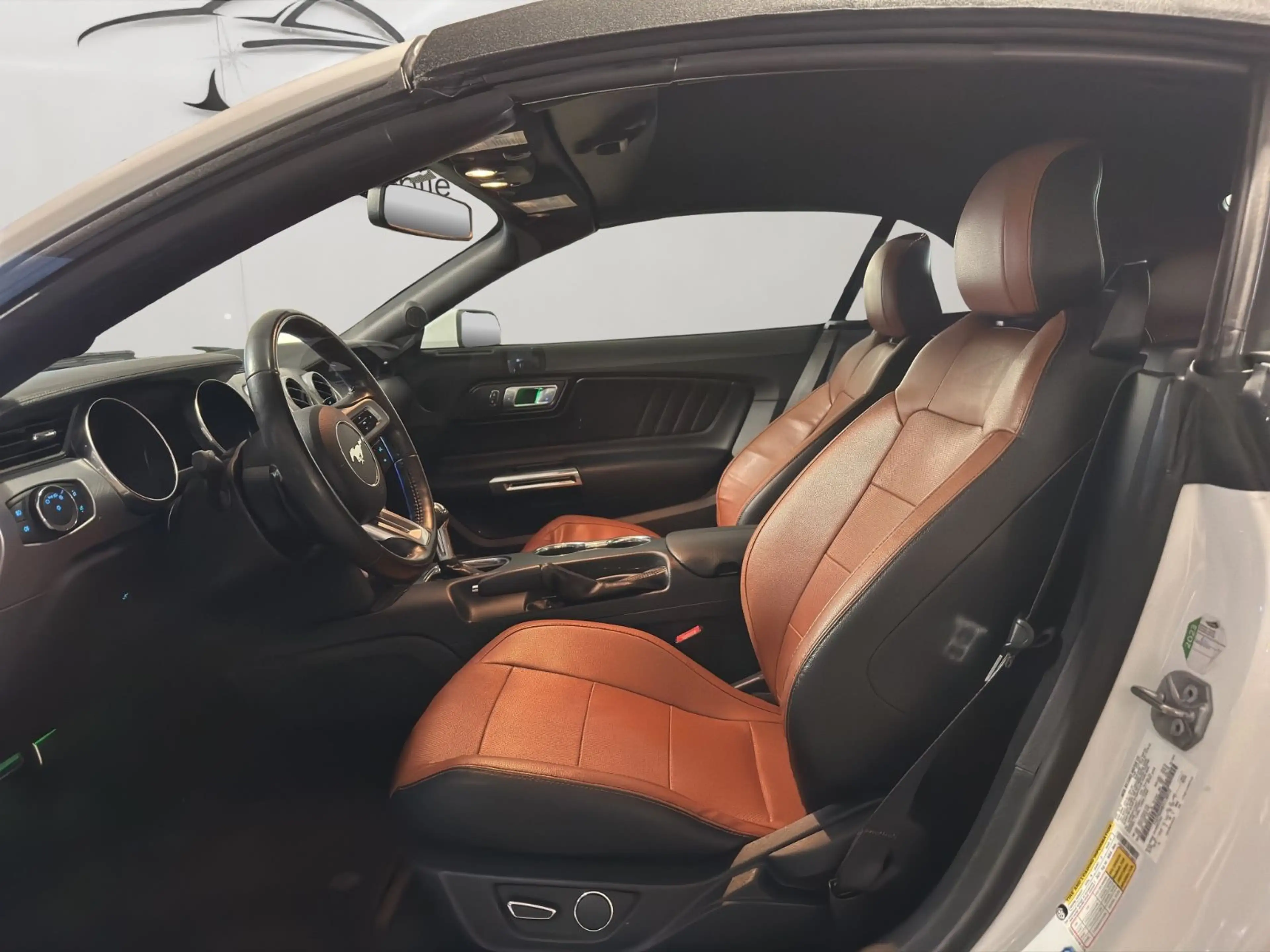 Ford Mustang Convertible Shz/Cam/Tmp/Carplay — photo 10