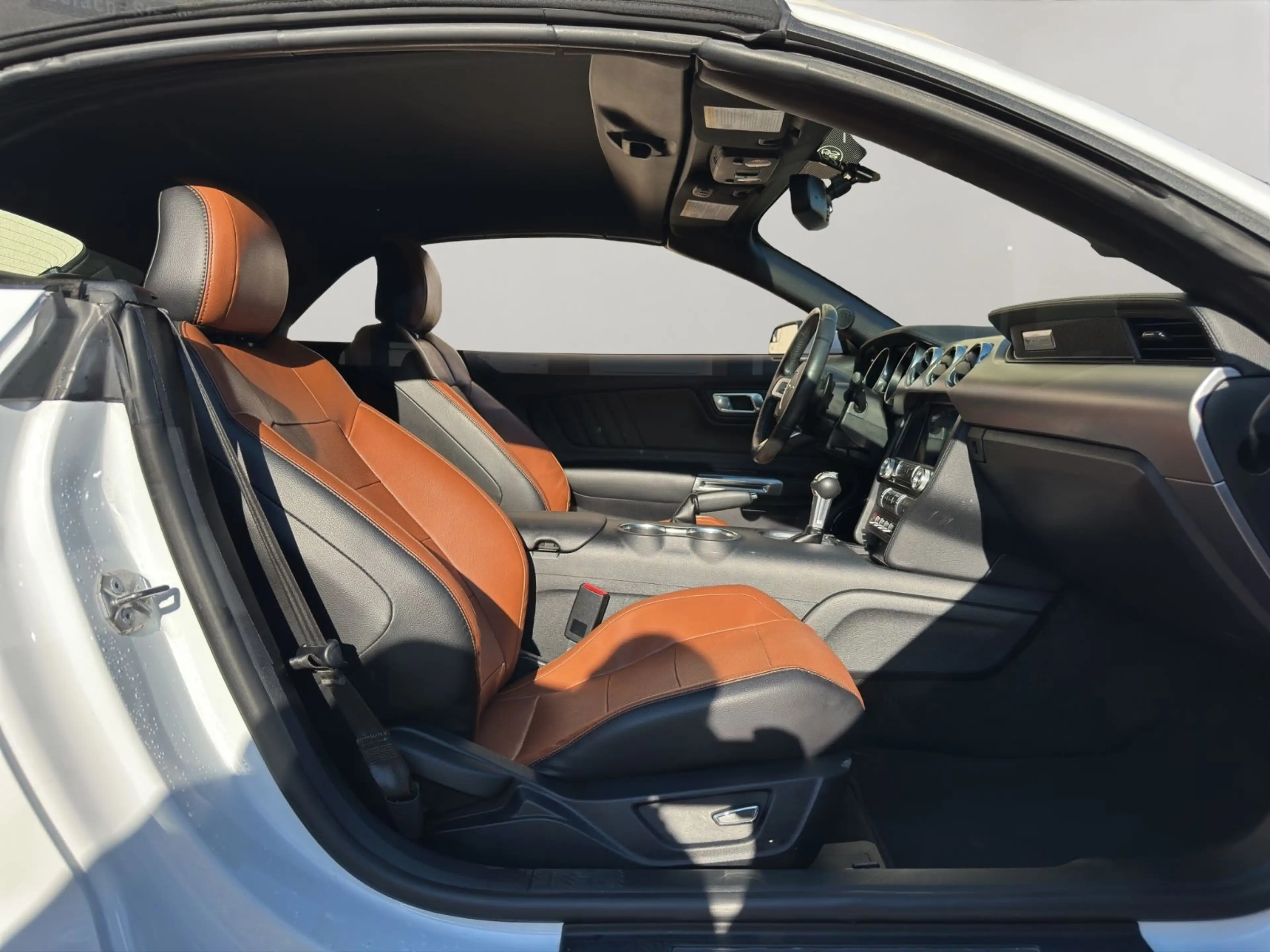 Ford Mustang Convertible Shz/Cam/Tmp/Carplay — photo 14