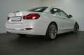 BMW 420 d Cabrio Luxury Line LEDER.H&K HiFi.SPORTSITZ Bianco - thumbnail 6