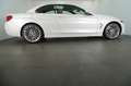 BMW 420 d Cabrio Luxury Line LEDER.H&K HiFi.SPORTSITZ Weiß - thumbnail 7