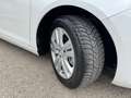 Peugeot 308 1.5 BlueHDi 130cv Sw Business..Navi..!! Bianco - thumbnail 15