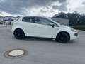 Fiat Punto MyLife Blanc - thumbnail 5