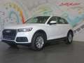 Audi Q5 35 TDI quattro S-tronic *LED, NAVI, AHK* Weiß - thumbnail 20