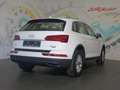 Audi Q5 35 TDI quattro S-tronic *LED, NAVI, AHK* Weiß - thumbnail 4
