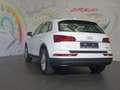 Audi Q5 35 TDI quattro S-tronic *LED, NAVI, AHK* Weiß - thumbnail 5