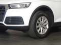 Audi Q5 35 TDI quattro S-tronic *LED, NAVI, AHK* Weiß - thumbnail 21