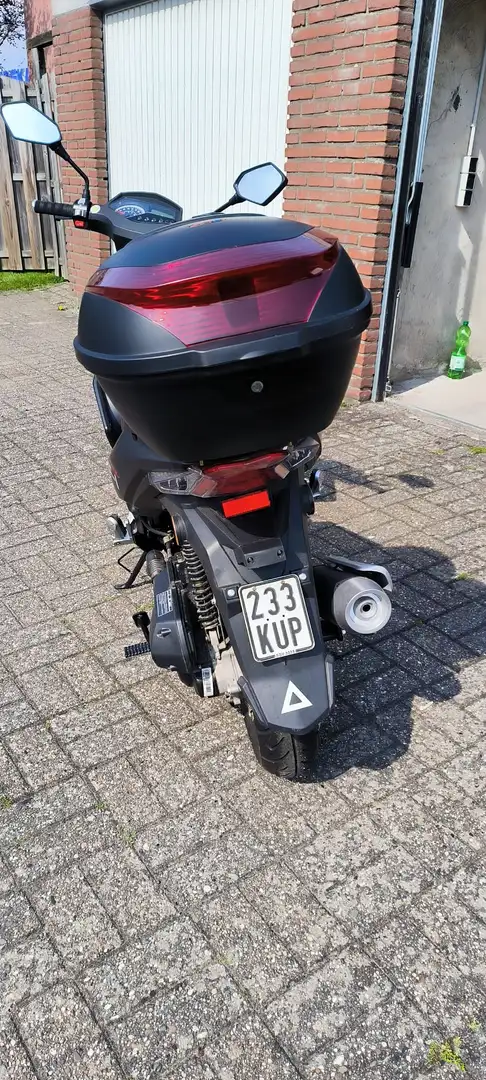 Alpha Mustang F1 Black - 2