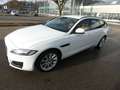 Jaguar XF Portfolio AWD "Leder"Navi - thumbnail 1