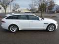Jaguar XF Portfolio AWD "Leder"Navi - thumbnail 6