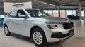 Skoda Kamiq 1.0 TSI 85kW DSG / SZHZG / AHK / PDC / DAB Argent - thumbnail 1